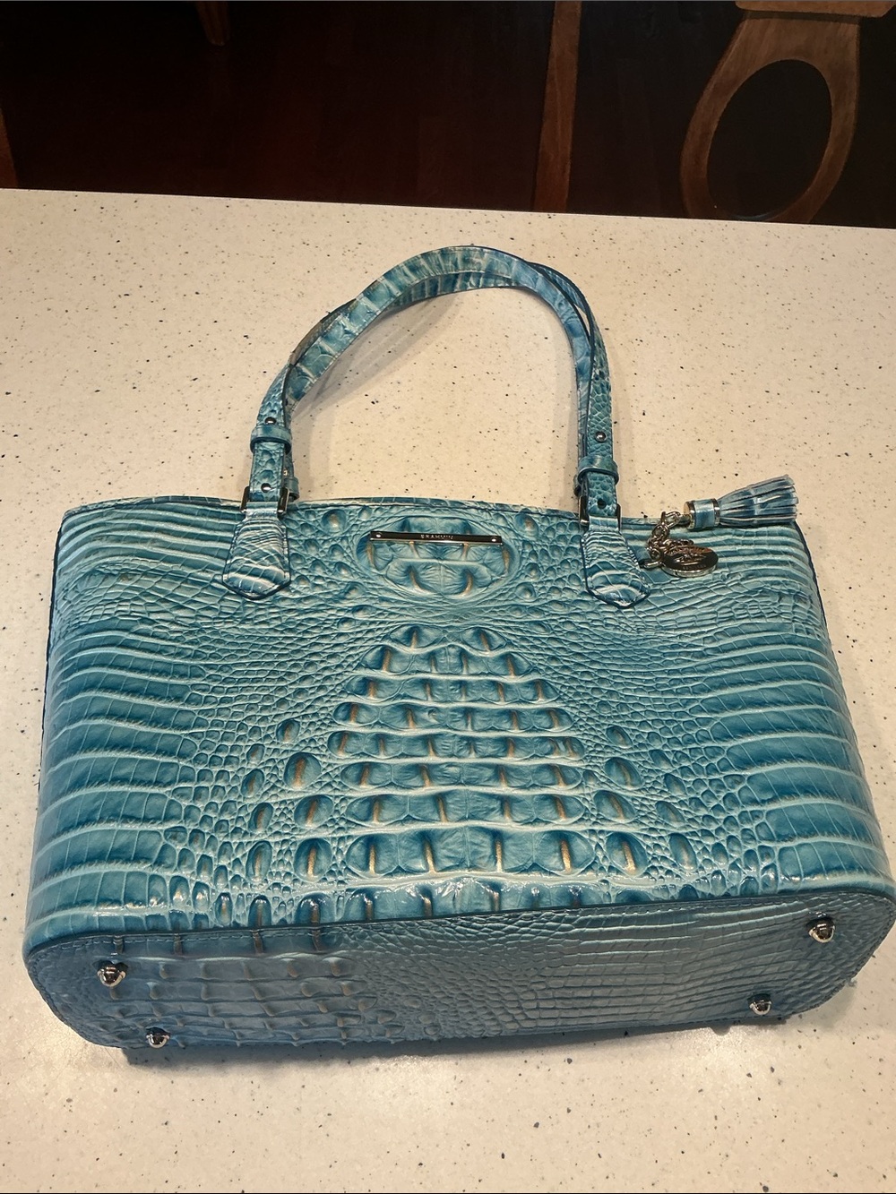 Brahmin Medium Asher in Blue Melbourne w/ Tassel Charm